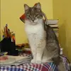 Отзыв от Валентина Глухова
